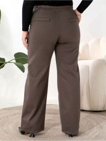 Брюки Uaclothes модель like16197-kofejnij Фото