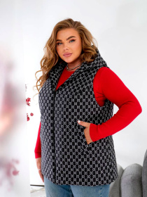 Жіночий демісезонний жилет з капюшоном, Чорний Uaclothes (like15001) модель like15001-chernj Фото