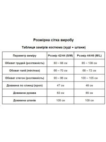 Жіночий велюровий костюм на змійці (худі+штани), Блакитний Uaclothes (like14672) модель like14672-goluboj Фото