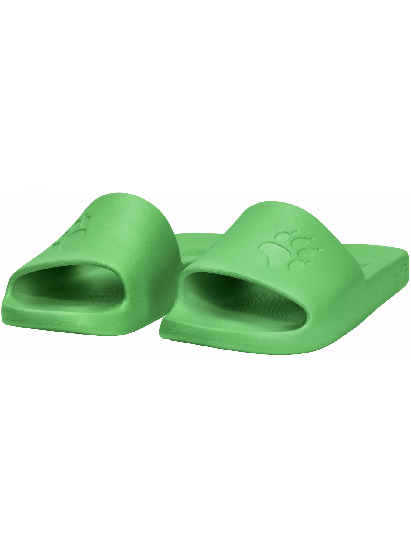 Шльопанці Jack Wolfskin модель A65742_E0278 Фото