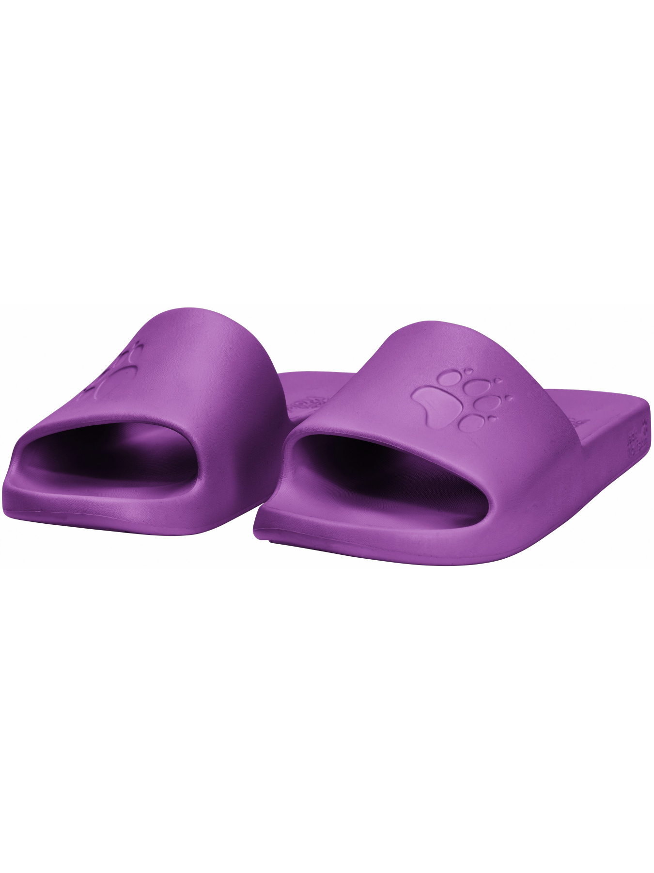 Шльопанці Jack Wolfskin модель A65742_I0132 Фото