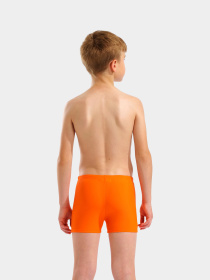 Плавки Arena модель 009087-308 Плавки Arena модель 009087-308 Фото