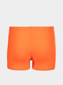 Плавки Arena модель 009087-308 Плавки Arena модель 009087-308 Фото