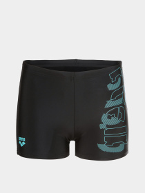 Плавки Arena модель 009087-508 Фото