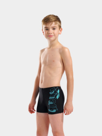 Плавки Arena модель 009087-508 Фото