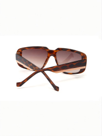 Сонцезахисні окуляри CASTA CS 3032 QW DEMI модель E0000460864 Фото