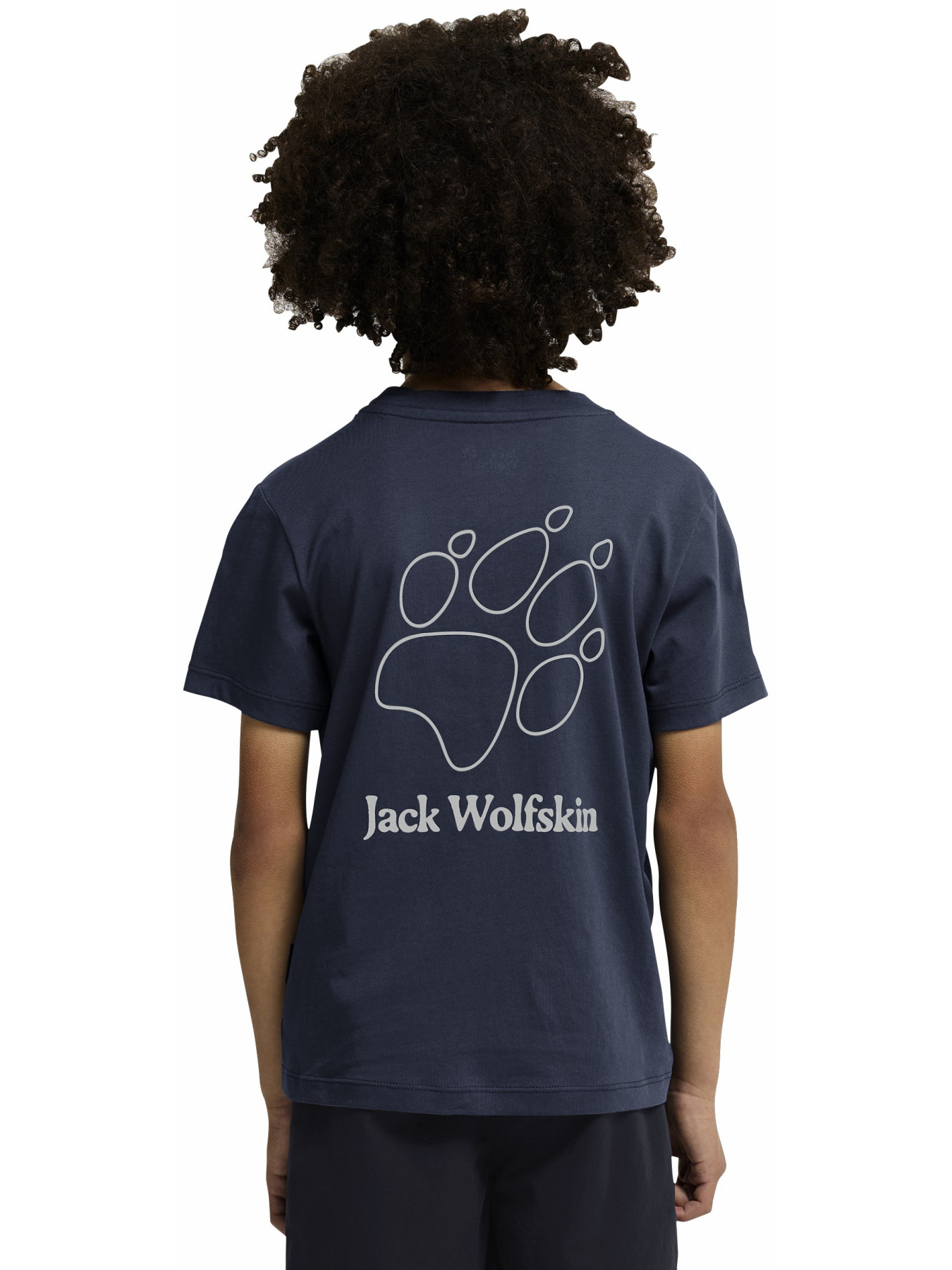 Футболки и поло Jack Wolfskin модель A65937_T0510 Фото