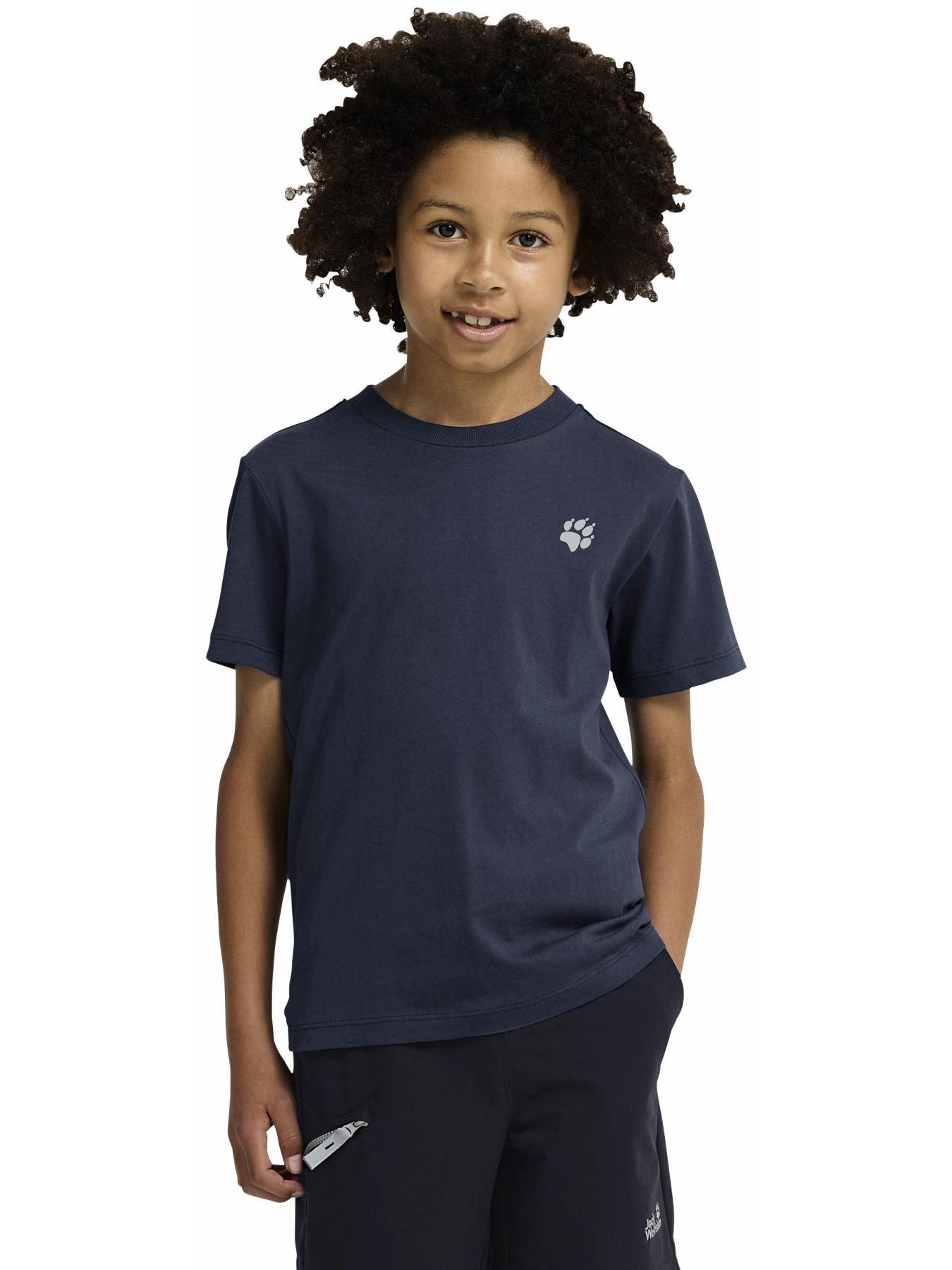 Футболки и поло Jack Wolfskin модель A65937_T0510 Фото