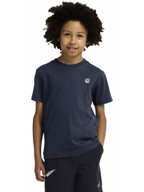 Футболки и поло Jack Wolfskin модель A65937_T0510 Фото