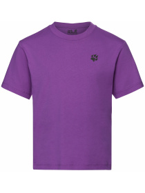 Футболка PRINT T K модель A65938_T0460 Футболка PRINT T K модель A65938_T0460 Фото