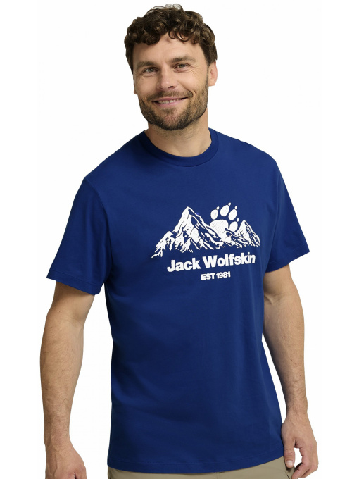 Футболка CAREFREE T M модель A66090_T0464 Фото