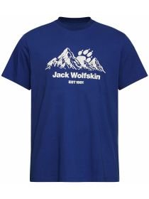 Футболка CAREFREE T M модель A66090_T0464 Футболка CAREFREE T M модель A66090_T0464 Фото