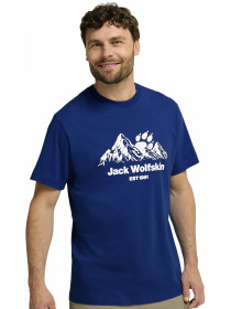 Футболка CAREFREE T M модель A66090_T0464 Фото