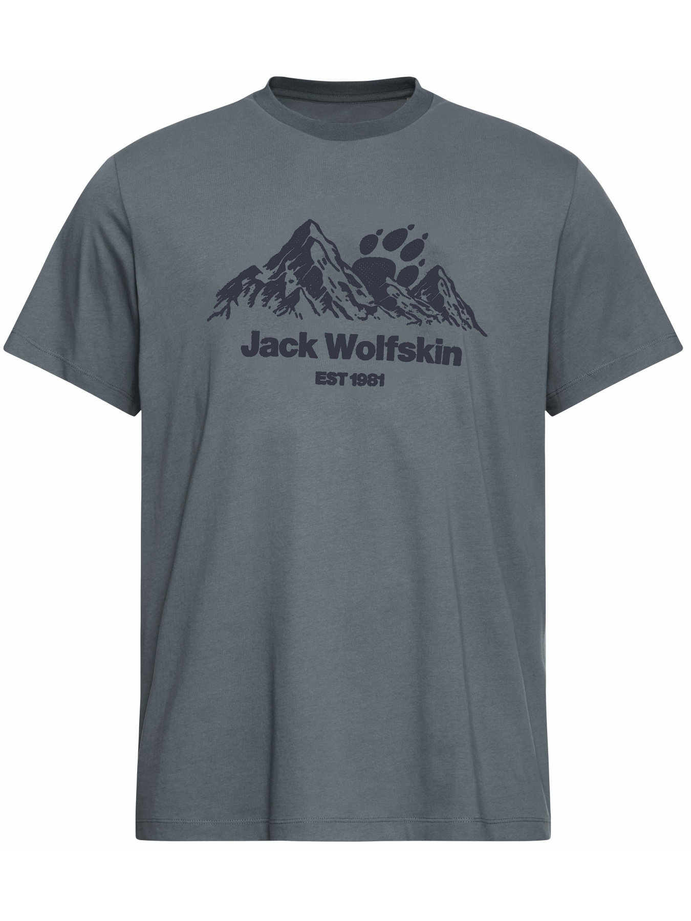 Футболка CAREFREE T M модель A66090_T0466 Футболка CAREFREE T M модель A66090_T0466 Фото