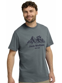 Футболка CAREFREE T M модель A66090_T0466 Фото