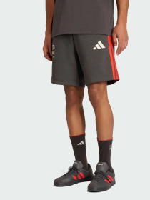 Спортивні шорти Adidas модель KE6786 Фото