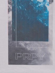 Футболка PRPY модель PMTSHGOK0023 Фото