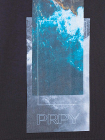 Футболка PRPY модель PMTSHGOK0023 Фото