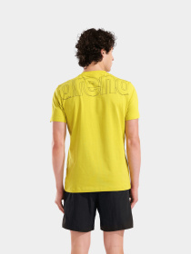 Футболка Arena модель 010996-300 Футболка Arena модель 010996-300 Фото