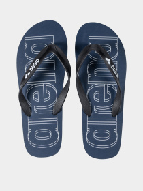 В'єтнамки Arena FLIP FLOP модель 002309-117 Фото