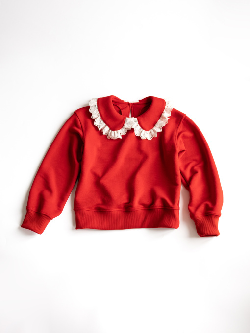 Худі та світшоти Alwair Kids модель 81063 Фото