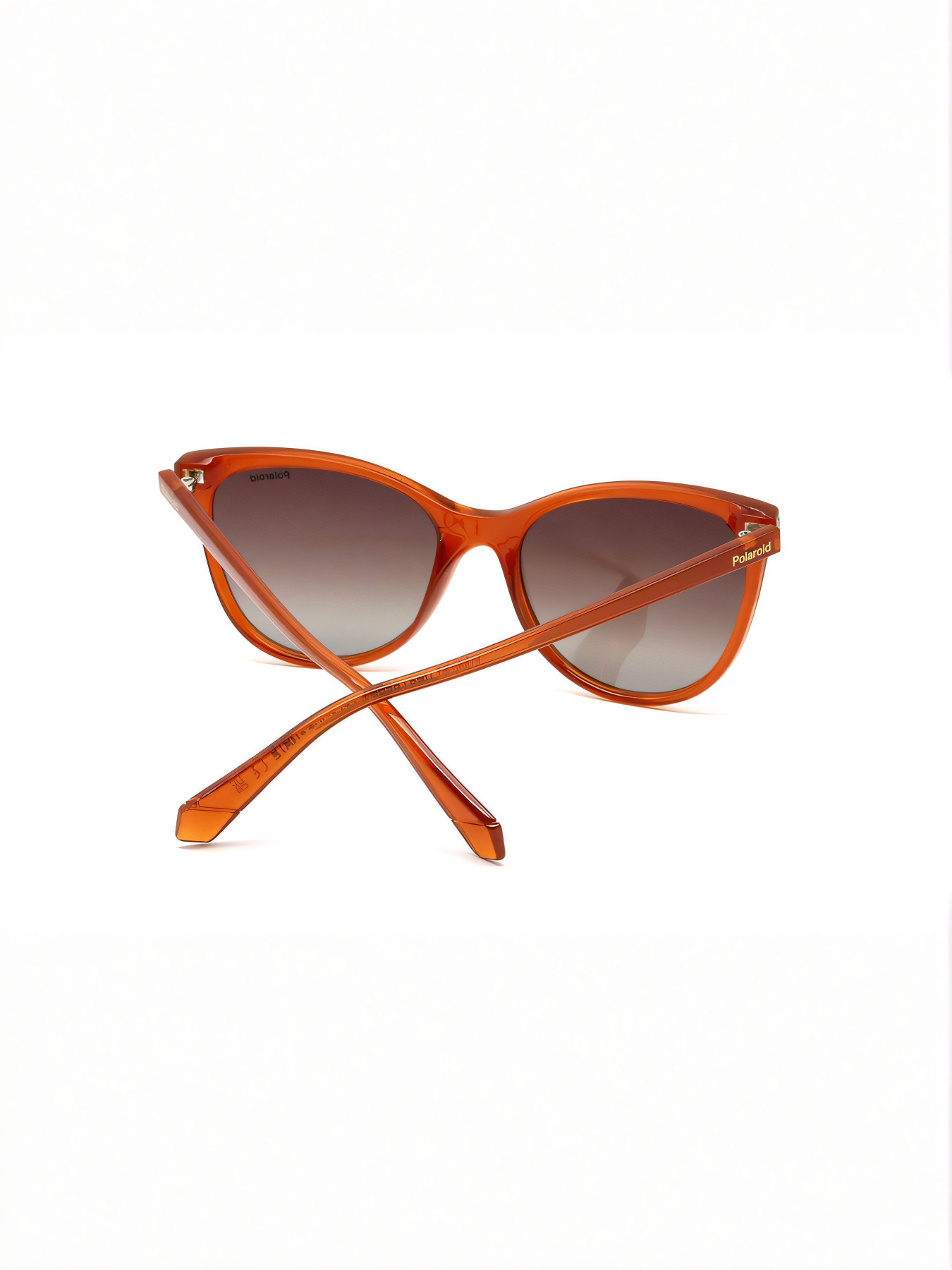 Очки Polaroid модель E0000487077 Фото