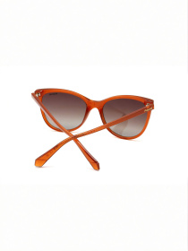 Очки Polaroid модель E0000487077 Фото