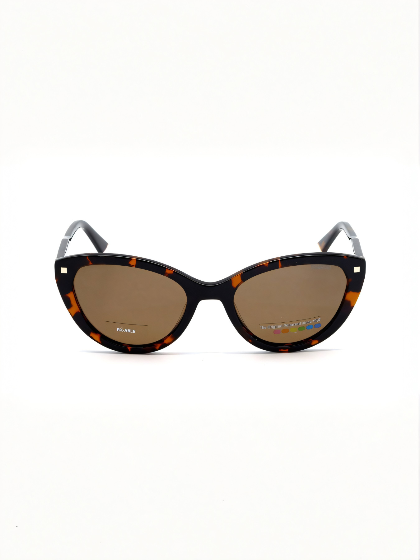 Очки Polaroid модель E0000487129 Фото