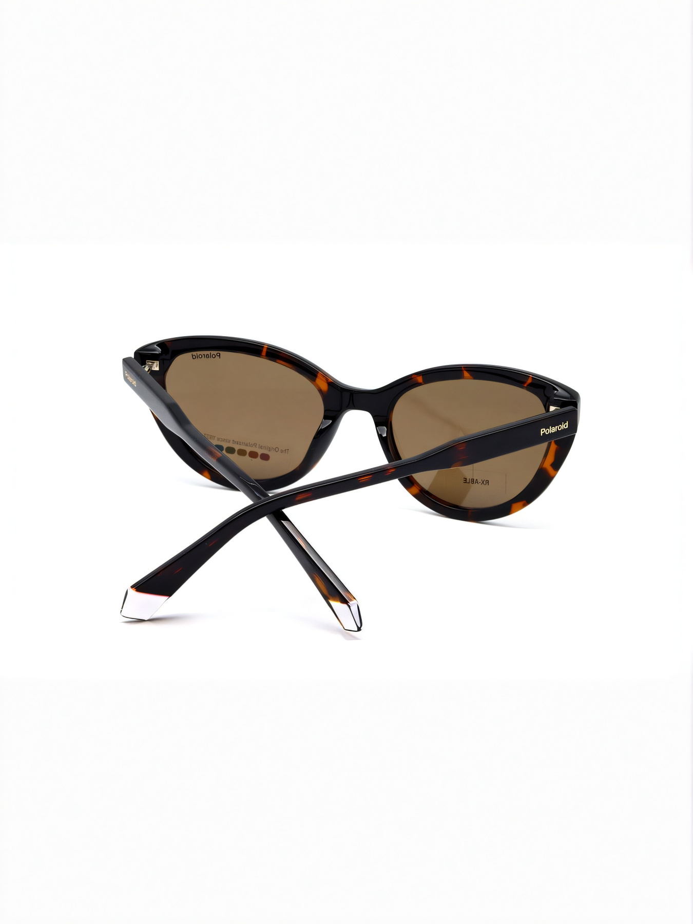 Очки Polaroid модель E0000487129 Фото