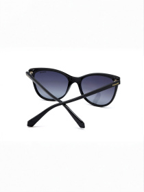 Очки Polaroid модель E0000487075 Фото