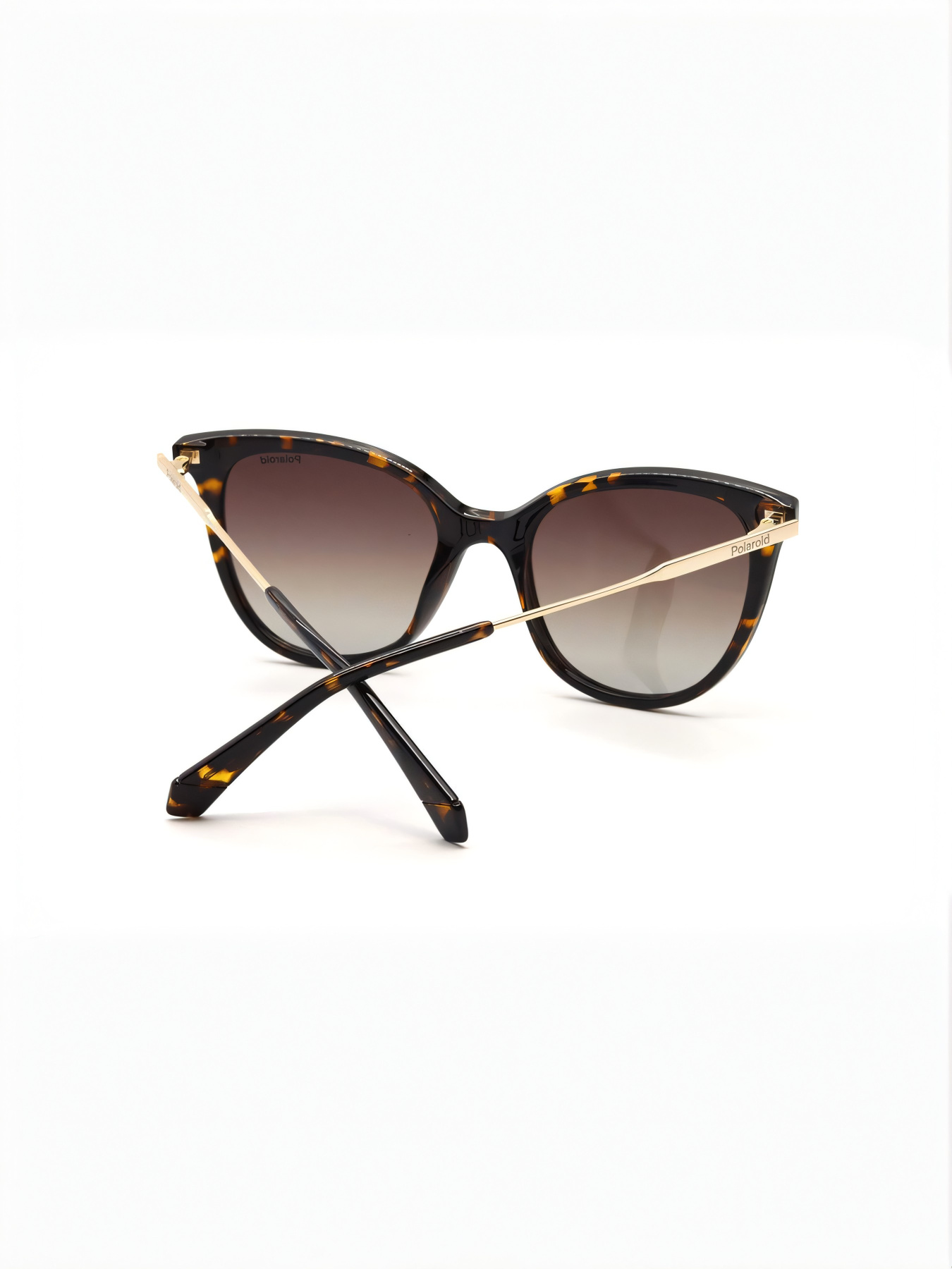 Очки Polaroid модель E0000504838 Фото