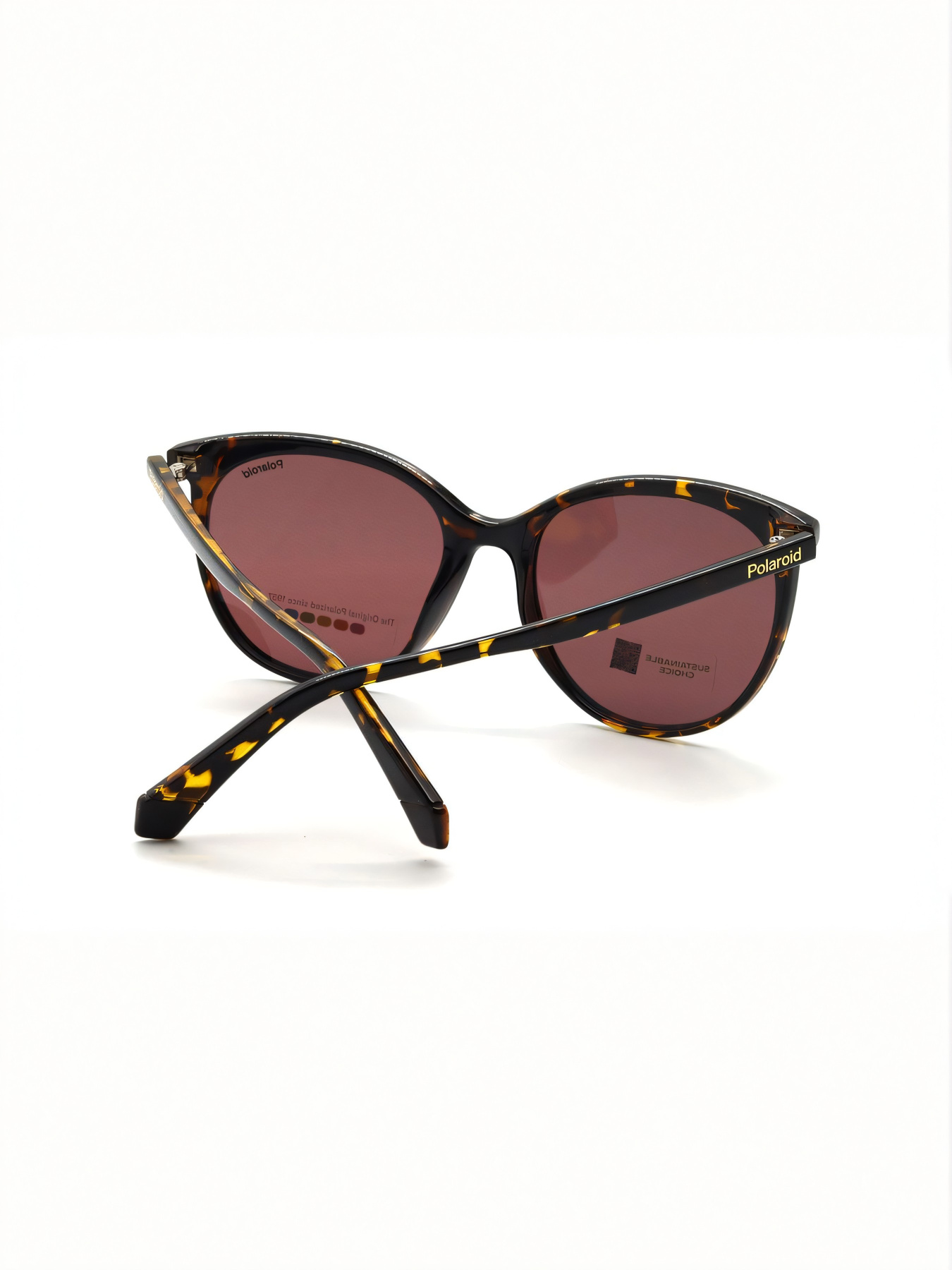 Очки Polaroid модель E0000504758 Фото