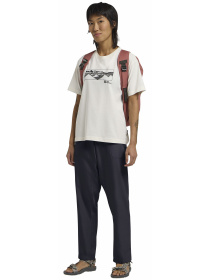 Брюки Jack Wolfskin модель A64029_C0413 Фото