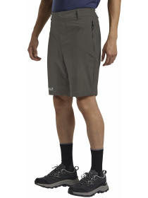 Шорти Jack Wolfskin модель A63930_F0302 Фото