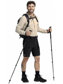 Шорты Jack Wolfskin модель A65855_6000 Фото