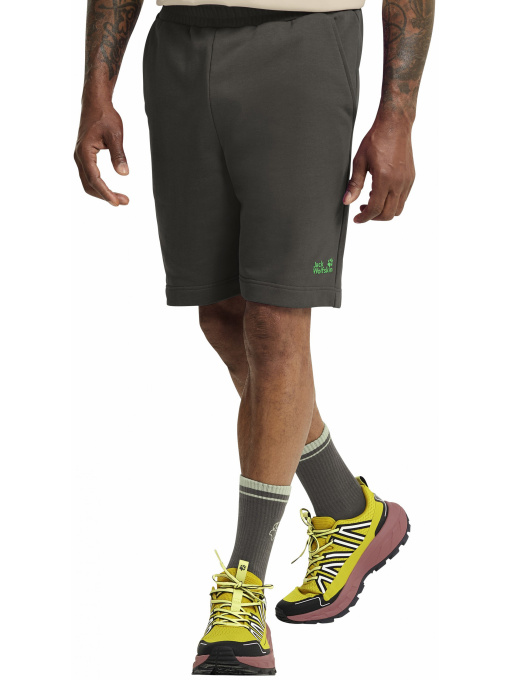 Шорты Jack Wolfskin модель A65908_F0302 Фото