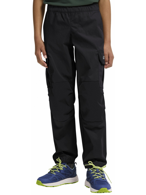 Повсякденні штани Jack Wolfskin модель A65922_6000 Фото