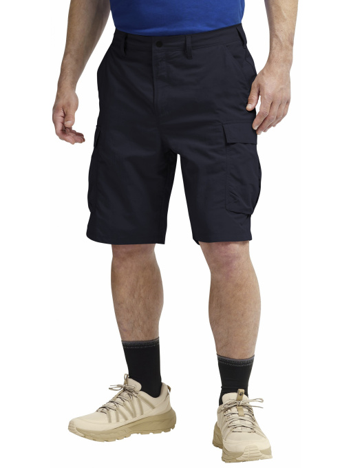 Шорти Jack Wolfskin модель A65970_C0413 Фото