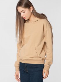 Худи Arber модель W17.02.16.210 Фото