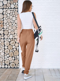 Повседневные штаны ISSA Plus модель 11753_коричневый Фото