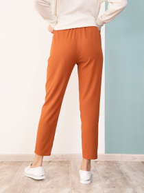 Классические штаны ISSA Plus модель SA-181_терракотовый Фото