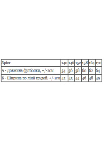 Футболки и поло Носи своє модель 6414-001-33-2-4-burshtin-sun Фото