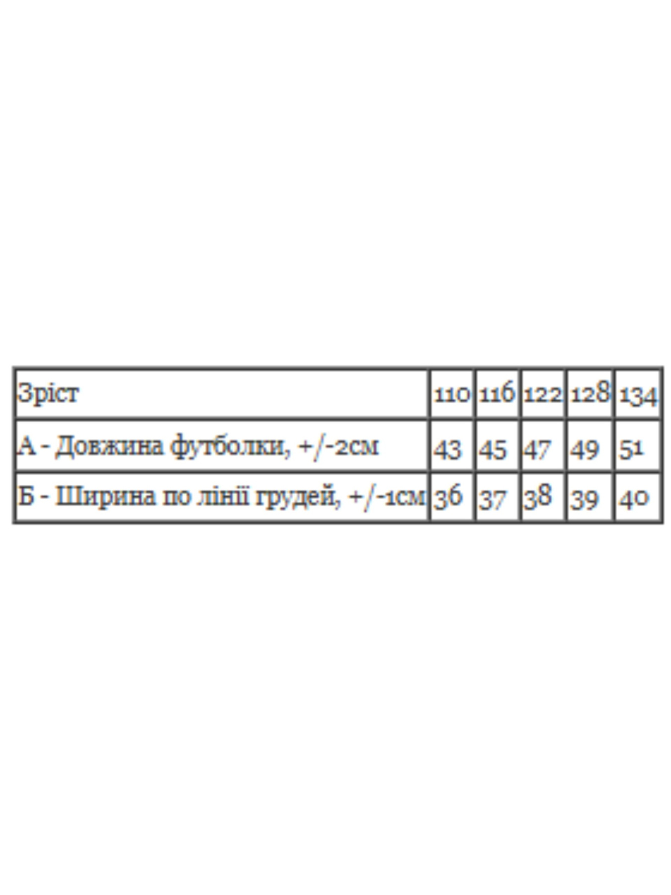 Футболки и поло Носи своє модель 6414-001-33-5-2-blij-zajka Фото