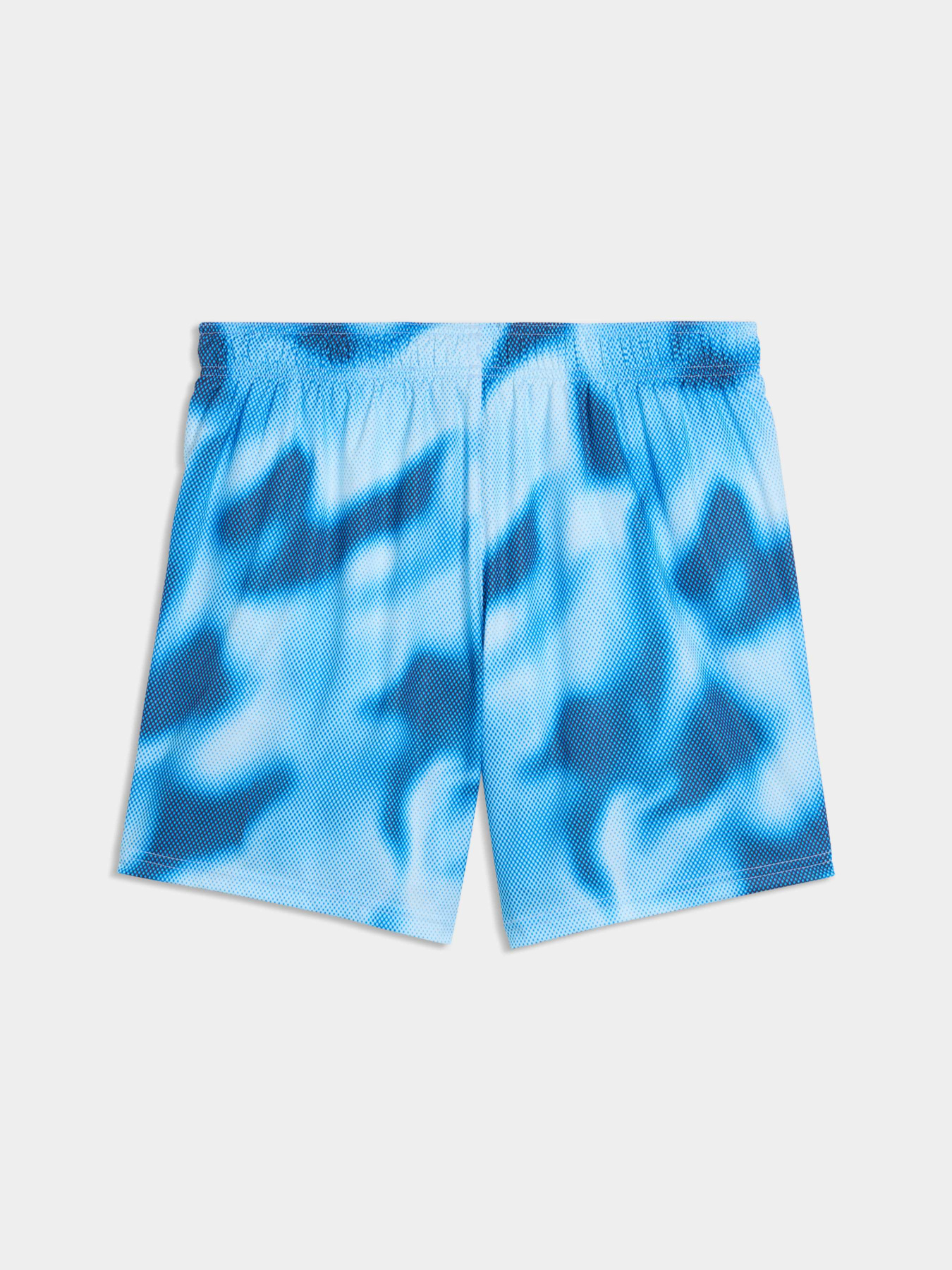 Одяг для пляжу PUMA Swim Men Printed Raster модель 947515 Фото