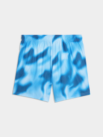Одяг для пляжу PUMA Swim Men Printed Raster модель 947515 Фото