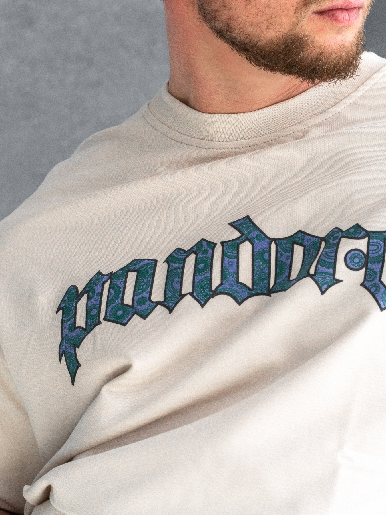 Футболки і поло TeamV модель 730P-3-PN Фото