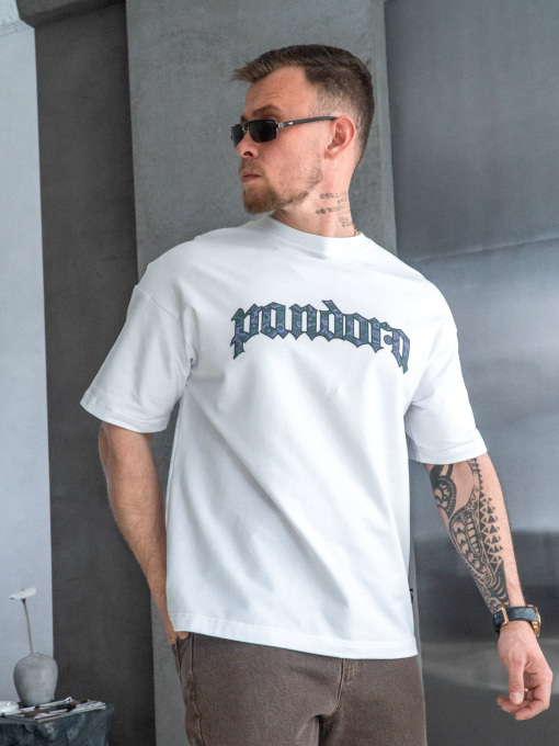 Футболки і поло TeamV модель 730P-3-PN Фото