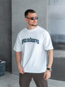 Футболки і поло TeamV модель 730P-3-PN Фото