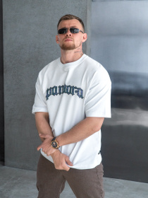 Футболки і поло TeamV модель 730P-3-PN Фото