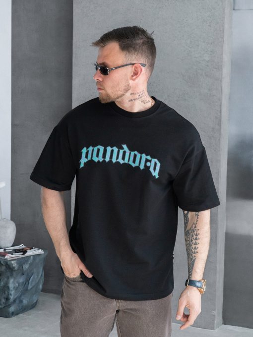 Футболки і поло TeamV модель 730P-3-PN Фото